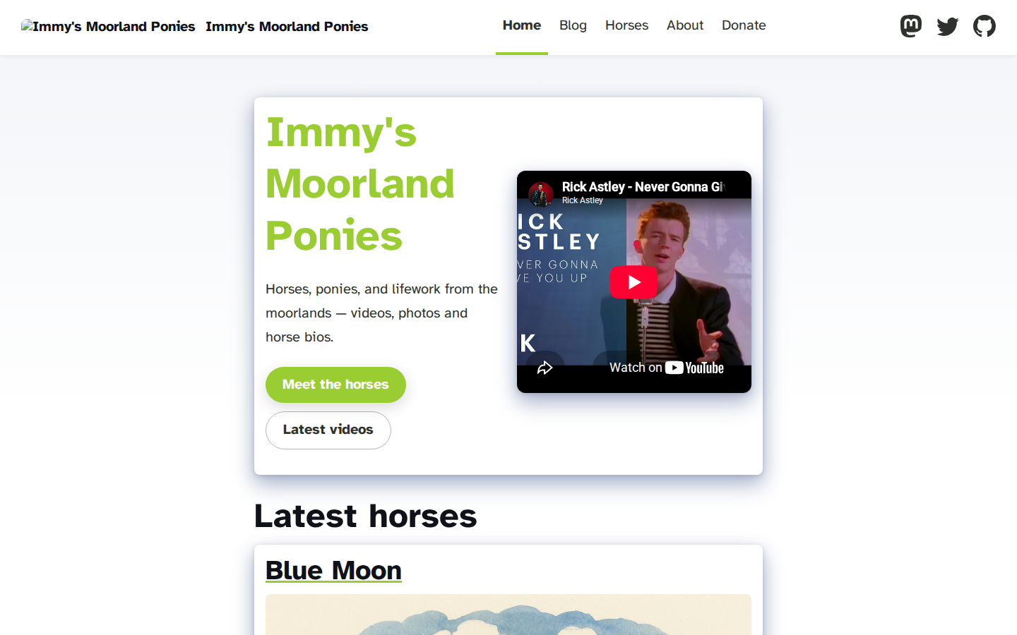 Immy's Moorland Ponies screenshot